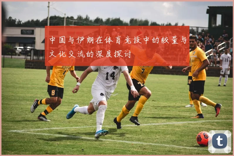 中国与伊朗在体育竞技中的较量与文化交流的深度探讨
