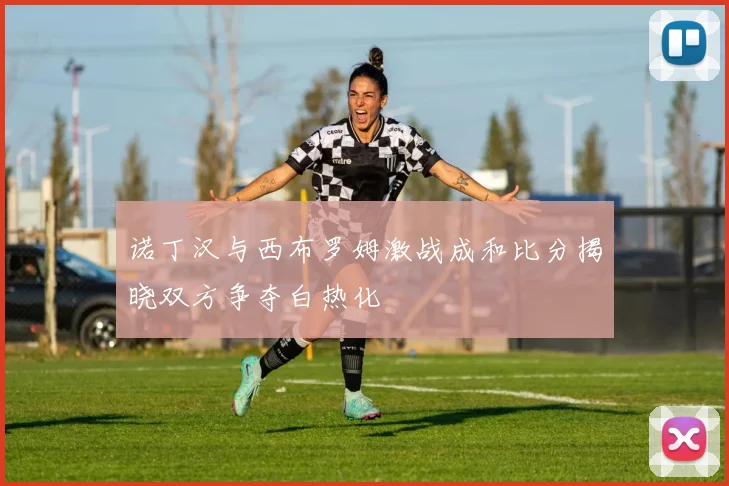 诺丁汉与西布罗姆激战成和比分揭晓双方争夺白热化