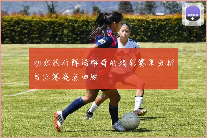 切尔西对阵诺维奇的精彩赛果分析与比赛亮点回顾