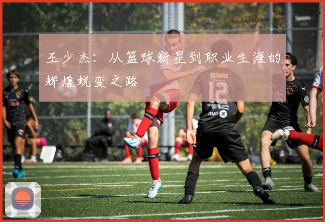 王少杰：从篮球新星到职业生涯的辉煌蜕变之路