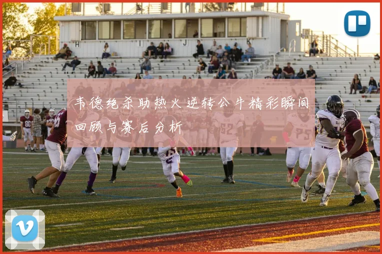 韦德绝杀助热火逆转公牛精彩瞬间回顾与赛后分析